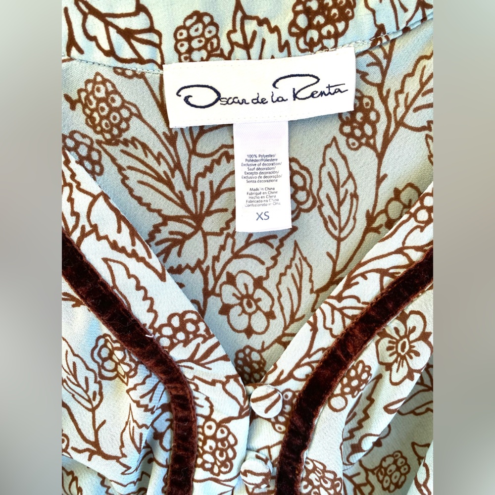 Oscar de la Renta Pale Blue Maxi Dress with Brown Floral Motif - Picture 10 of 14